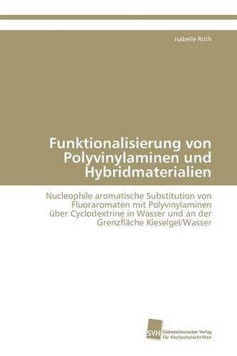 Funktionalisierung von Polyvinylaminen und Hybridmaterialien