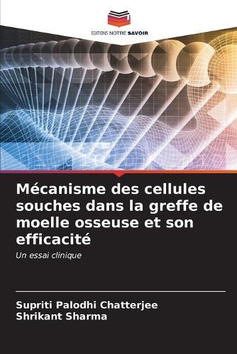 Mécanisme des cellules souches dans la greffe de moelle osseuse et son efficacité