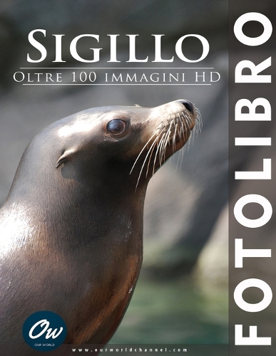 Sigillo: Fotolibro(Fotolibro - Oltre 100 Immagini HD)