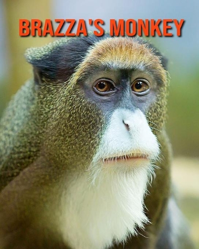 Brazza's Monkey