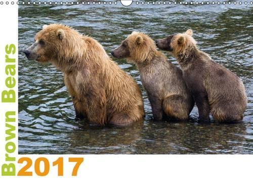 Brown Bears 2017 UK-Version 2017