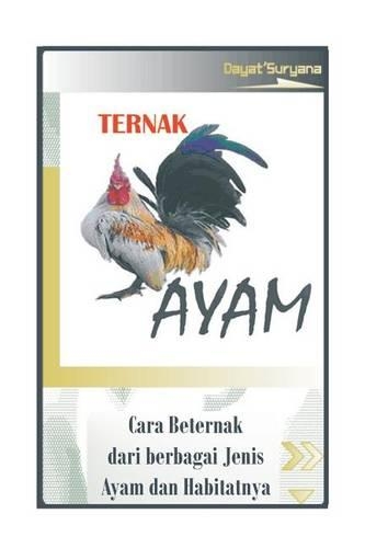Ternak Ayam