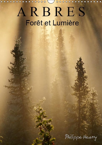 ARBRES. Forêt et Lumière 2019: Des arbres dans toute leur beauté.(Calvendo Nature)