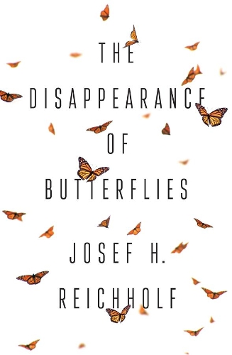 The Disappearance of Butterflies