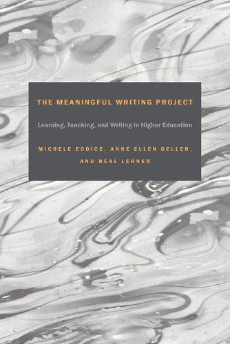 The Meaningful Writing Project: Learning, Teaching and Writing in Higher Education(English)