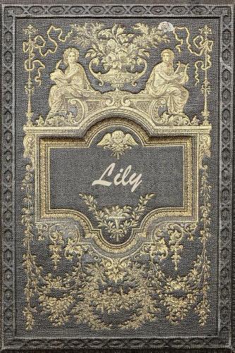 Lily: Classic Style Jiu-Jitsu Training Diary Training Journal Log Feature 120 Pages 6x9