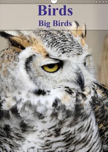 Birds Big Birds 2017