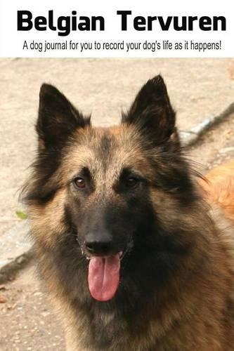 Belgian Tervuren