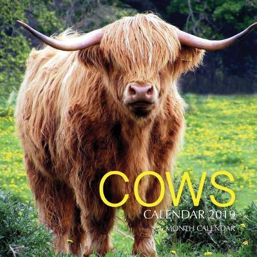 Cows Calendar 2019