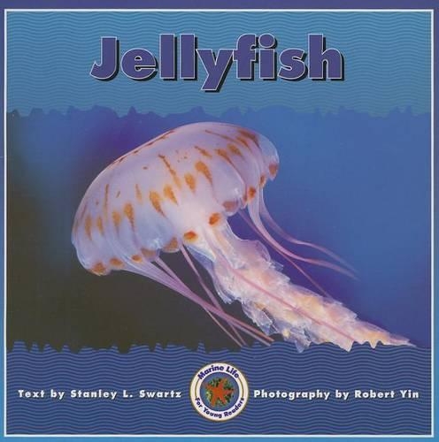 Jellyfish