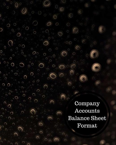 Company Accounts Balance Sheet Format
