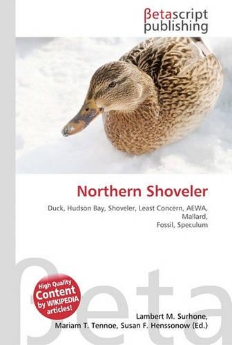 Northern Shoveler