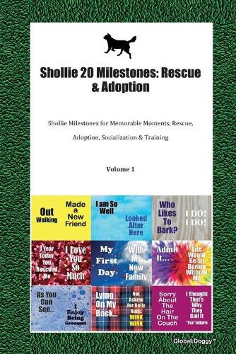Shollie 20 Milestones
