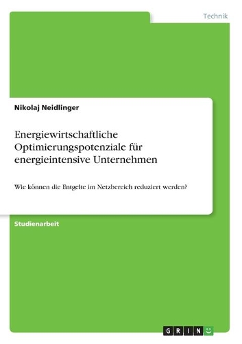 Energiewirtschaftliche Optimierungspotenziale für energieintensive Unternehmen