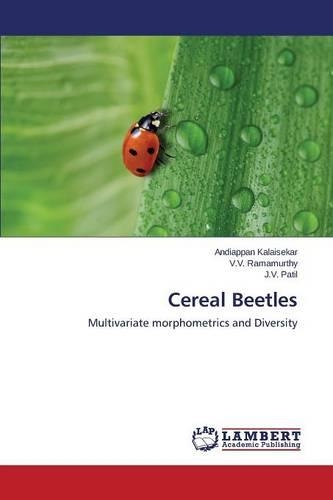 Cereal Beetles