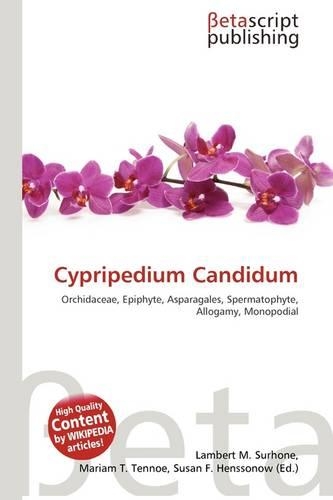 Cypripedium Candidum