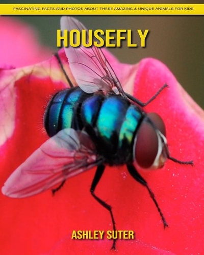 Housefly: Fascinating Facts and Photos about These Amazing & Unique Animals for Kids