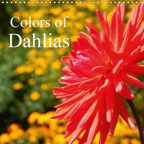 Colors of Dahlias 2015
