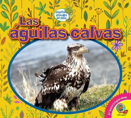 Las Águilas Calvas