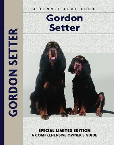 Gordon Setter