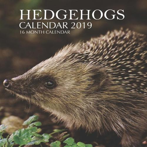 Hedgehogs Calendar 2019