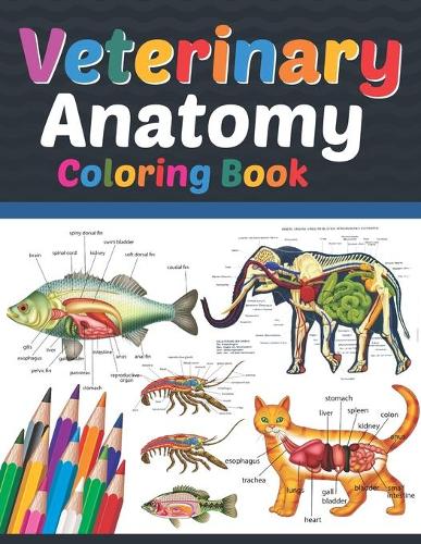 Veterinary Anatomy Coloring Book: Veterinary Anatomy Learning Workbook. Animal Anatomy Coloring Book. Kids Anatomy Coloring Book. Veterinary Anatomy Coloring Book for Men & Women. Ve