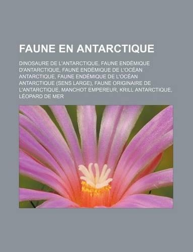 Faune En Antarctique
