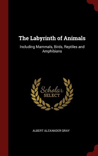 The Labyrinth of Animals