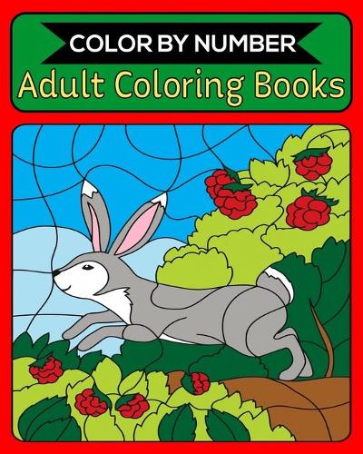 Color By Number Adult Coloring Books