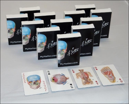 Netter Playing Cards: Netter's Anatomy Art Cards Box of 12 Decks (Bulk)(Netter Basic Science)