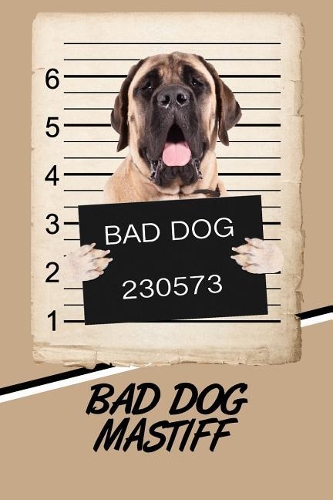 Bad Dog Mastiff
