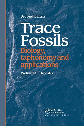 Trace Fossils