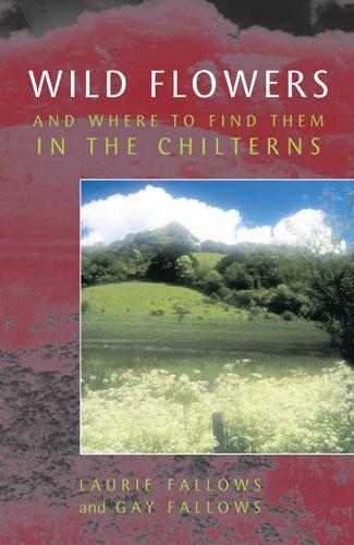 Wild Flowers and Where to Find Them in the Chilterns