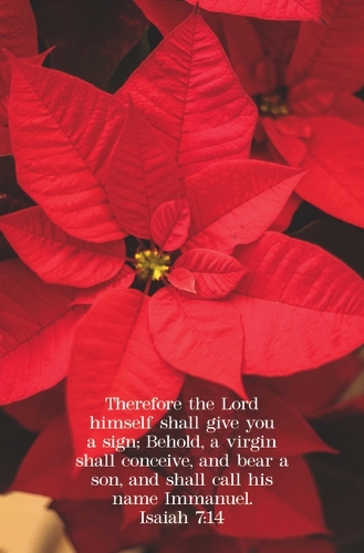 Christmas Bulletin: A Sign (Package of 100)