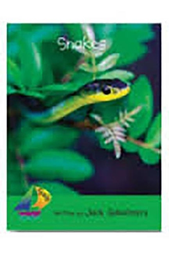 Rus Snakes- Sails Early 4 N