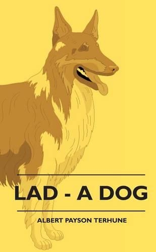 Lad - A Dog