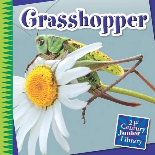 Grasshopper: (21st Century Junior Library: Creepy Crawly Critters)
