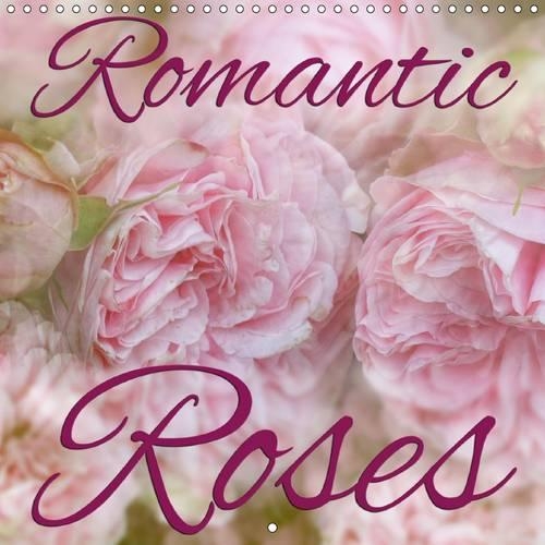 Romantic Roses 2016: Romantic Rose portraits in the trendy vintage style(Calvendo Art)