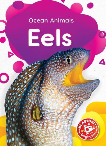 Eels: (Ocean Animals)