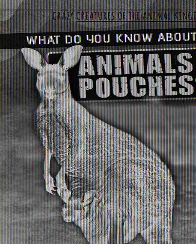 What Do You Know about Animals with Pouches?