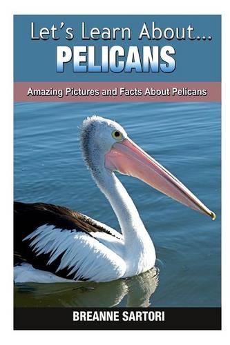Pelicans