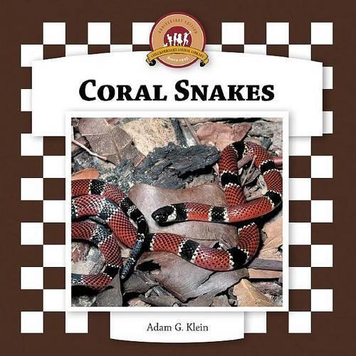 Coral Snakes