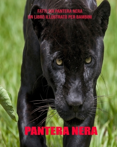 Pantera Nera: Fatti sui Pantera Nera un libro illustrato per bambini