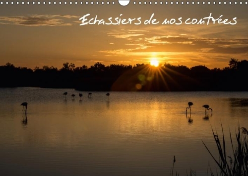 Echassiers De Nos Contrees 2018