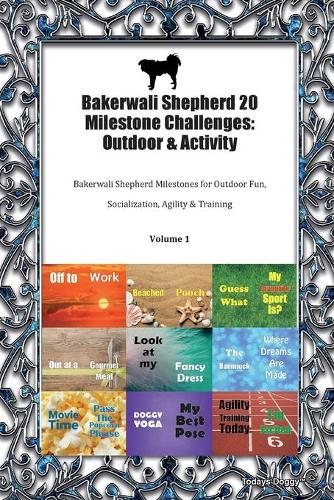 Bakerwali Shepherd 20 Milestone Challenges