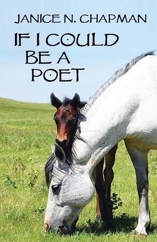 Colmar, France 1000 Piece Jigsaw