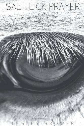 Salt Lick Prayer: (English)