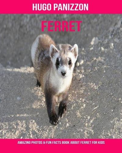 Ferret