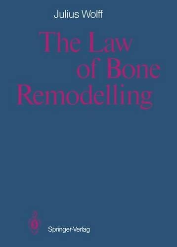 The Law of Bone Remodelling