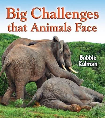 Big Challenges That Animals Face: (Big Science Ideas)